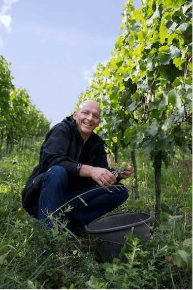 Weingut Stefan Fritzen_OceněnáVína_CZ